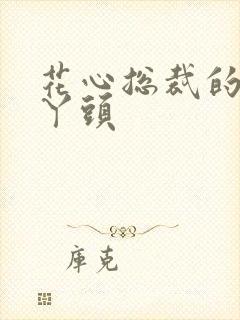 花心总裁的小小丫头