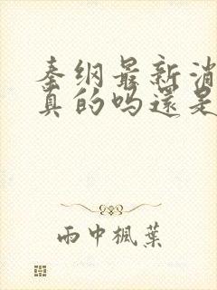 秦纲最新消息是真的吗还是假的