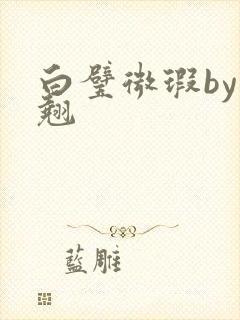 白璧微瑕by连翘