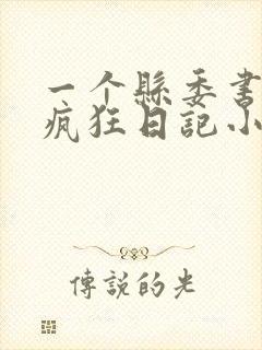 一个县委书记的疯狂日记小说