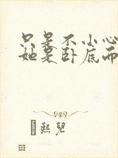 只是不小心发现她是卧底而已