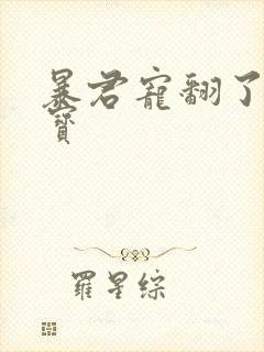 暴君宠翻了小娇宝