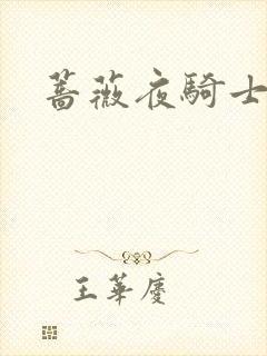 蔷薇夜骑士