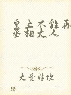 皇上不能再进了丞相大人