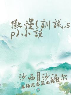 傲慢(训诫,sp)小说