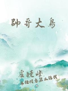 帅哥大鸟