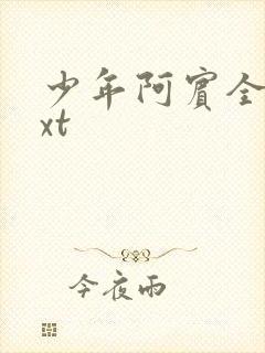 少年阿宾全集txt