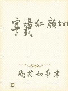 官场红颜txt下载