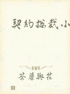 契约总裁小萌宝