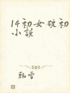 14初女破初的小说