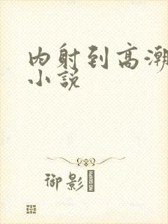 内射到高潮的H小说