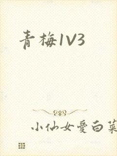 青梅1V3