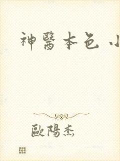 神医本色 小说