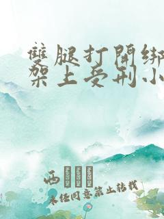 双腿打开绑在刑架上受刑小说