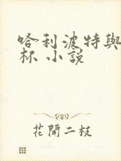 哈利波特与火焰杯 小说