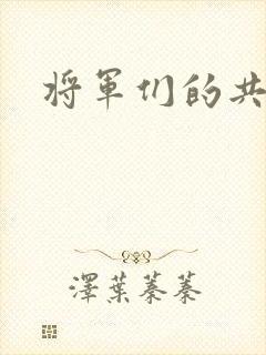 将军们的共妻H