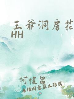 王爷洞房花烛夜HH