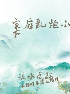 家庭乱炮小说全本