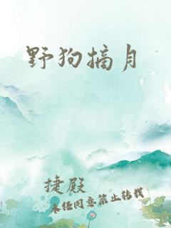 野狗摘月
