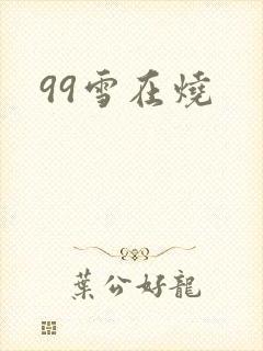 99雪在烧