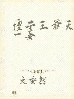 傻子王爷天下第一妾