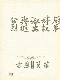 公与淑婷厨房猛烈进出故事