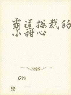 霸道总裁的宠爱小甜心