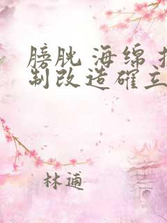 膀胱 海绵 控制改造确立m