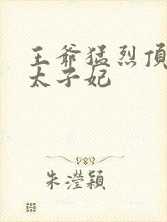 王爷猛烈顶弄H太子妃