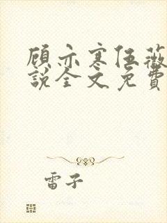 顾亦寒伍薇薇小说全文免费阅读