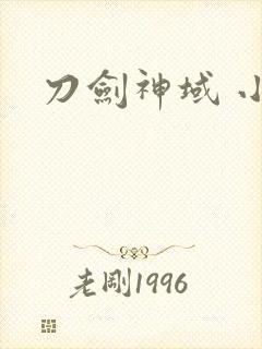 刀剑神域 小说