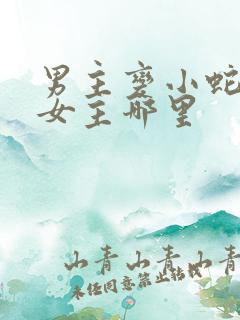 男主变小蛇钻进女主哪里