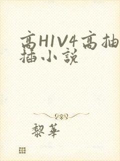 高H1V4高抽插小说