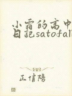 小霜的高中成长日记satofall