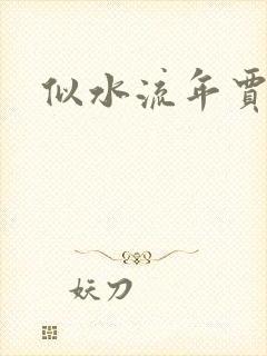 似水流年贾二虎