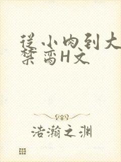 从小肉到大师傅禁脔H文