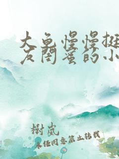 大龟慢慢挺进女友闺蜜的小说