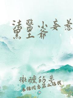 法医小妾惹上腹黑王爷