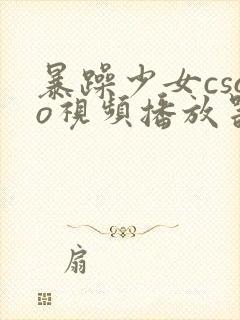 暴躁少女csgo视频播放器推荐