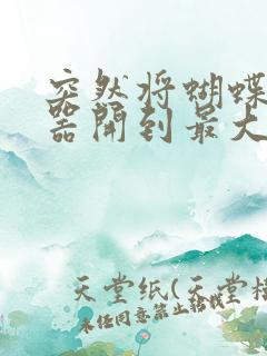 突然将蝴蝶遥控器开到最大