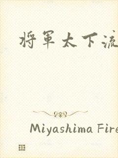 将军太下流