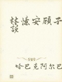 林忆安顾子铭小说