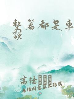 整篇都是车的小说