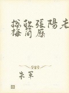 总政张阳老婆吕梅简历