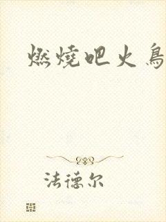燃烧吧火鸟小说