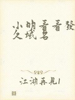 小明看看发布永久域名