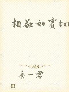 相敬如宾txt