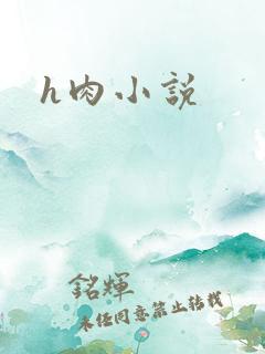 h肉小说