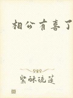 相公有喜了