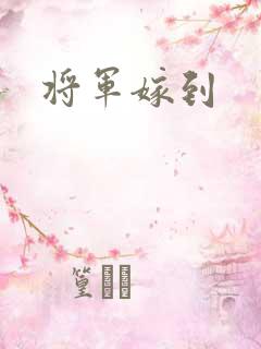 将军嫁到